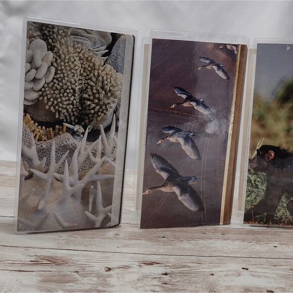 Animal Themed Small Travel Journals with Slip Covers, Handmade Small Notebook - Picture 5 of 8